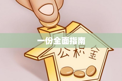新安一份全面指南