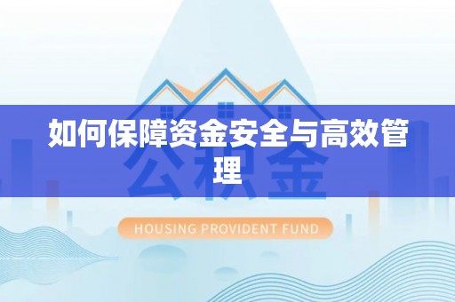新安如何保障资金安全与高效管理