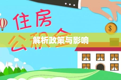 新安解析政策与影响