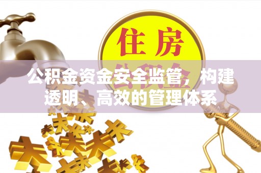 新安公积金资金安全监管，构建透明、高效的管理体系
