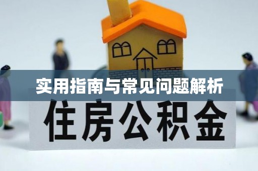 新安实用指南与常见问题解析
