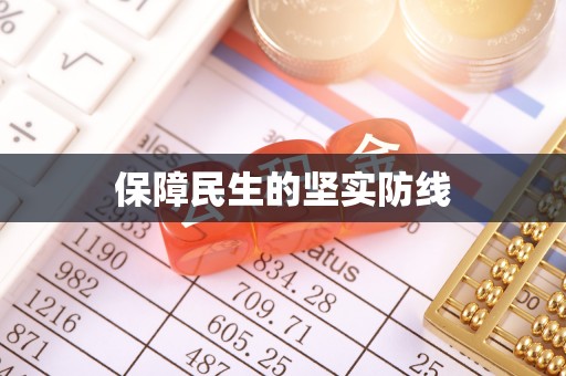 新安保障民生的坚实防线