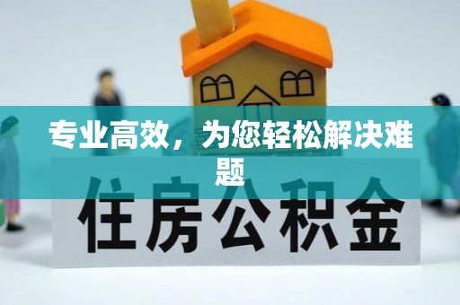 新安专业高效，为您轻松解决难题